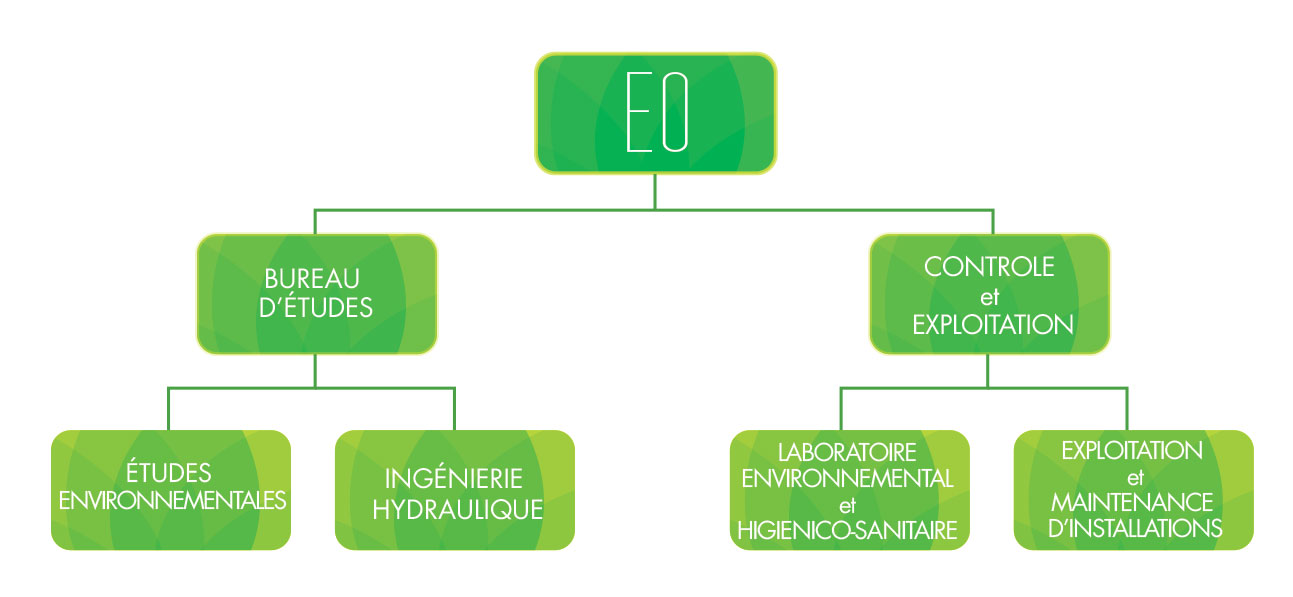 Organigramme EO-Ecoconsulting